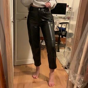 Aritzia Wilfred Oracle Pant 